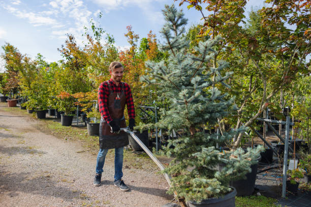  Camden, AR Tree Service Pros